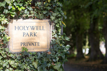 Holywell Park - image 2